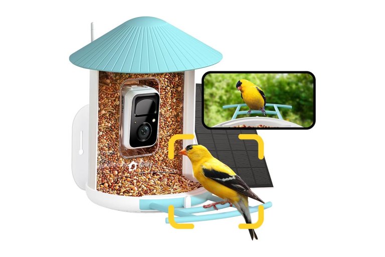 The Best Lawn and Garden Products Option Netvue Birdfy AI Smart Bird Feeder With Camera