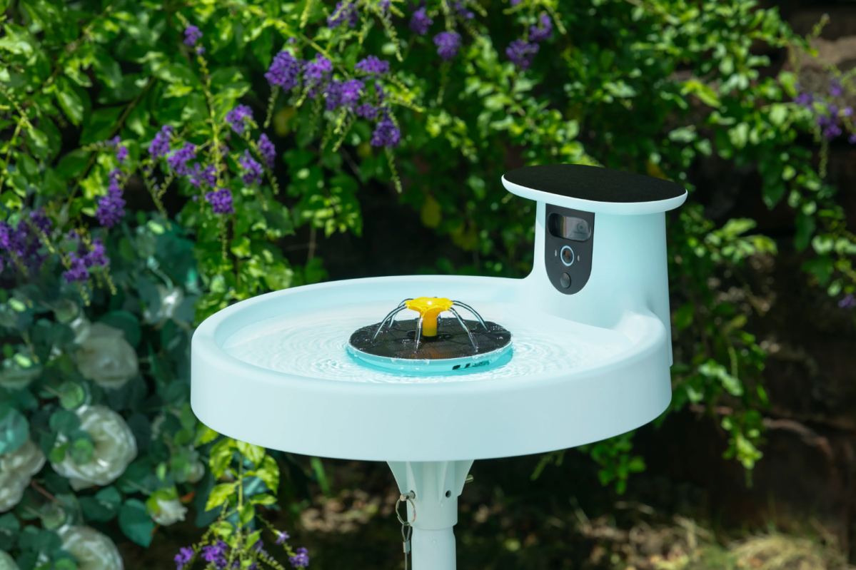 Birdfy Bath Pro set up in yard