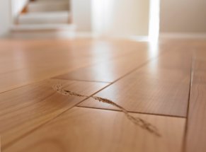 Scratches and gouges in a hardwood floor.