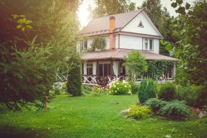 Country cottage with green landscaped back yard in sunny summer day.