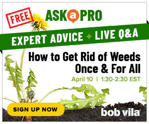 Ask a Pro webinar announcement: How to Get Rid of Weeds