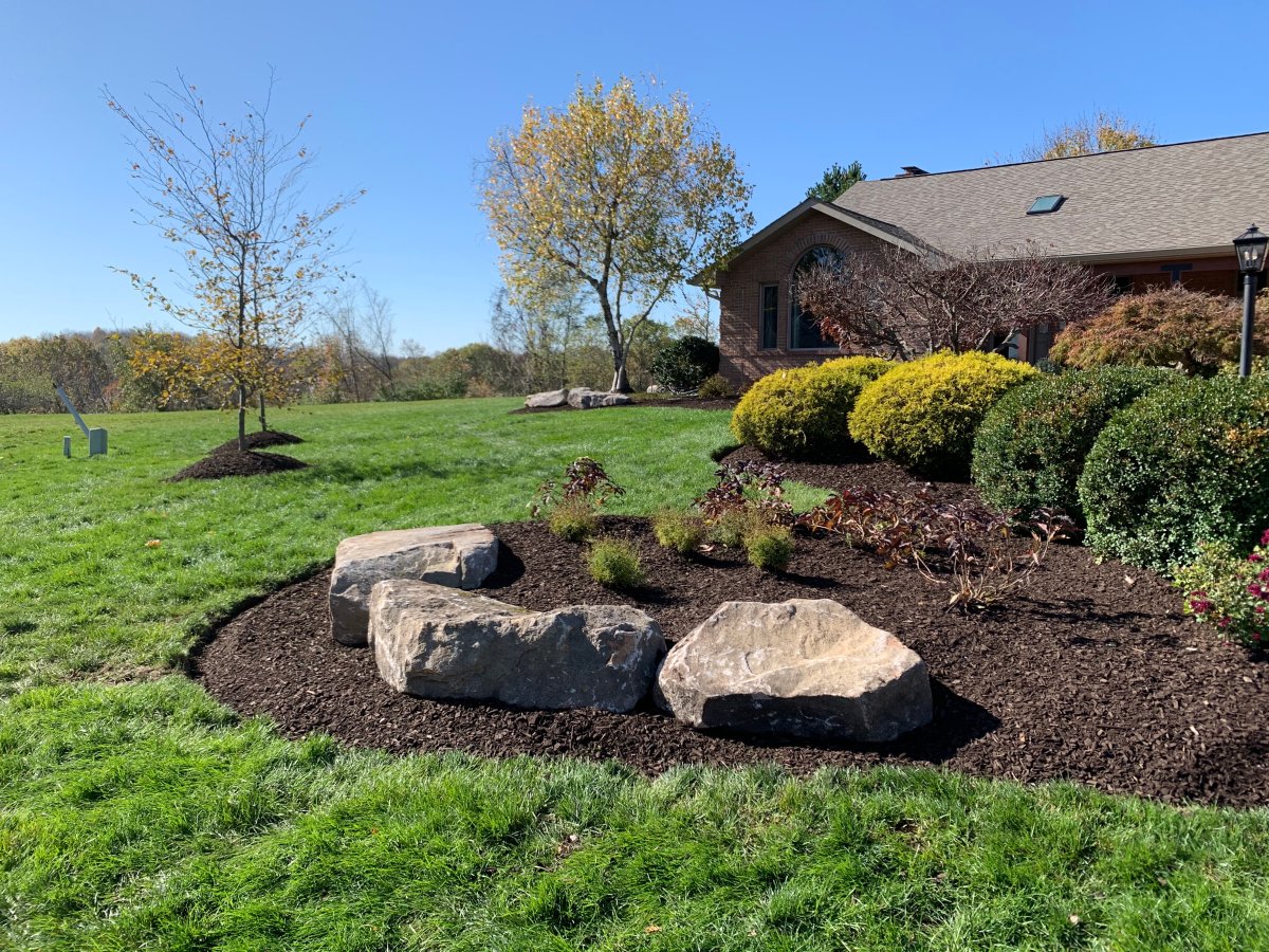Fresh mulch in a landscaped yard.