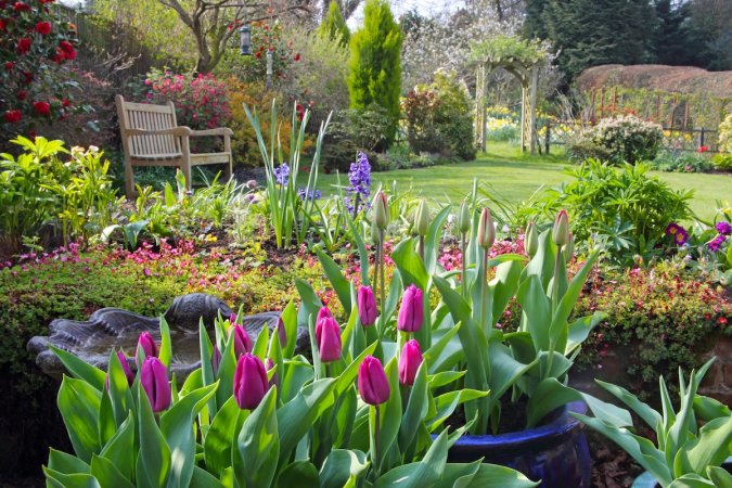 A beautifully designed flower bed in a backyard.