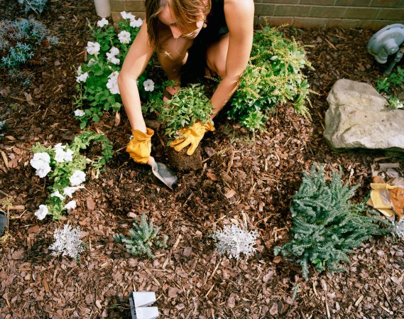 Woman tending to garden and digging up plants