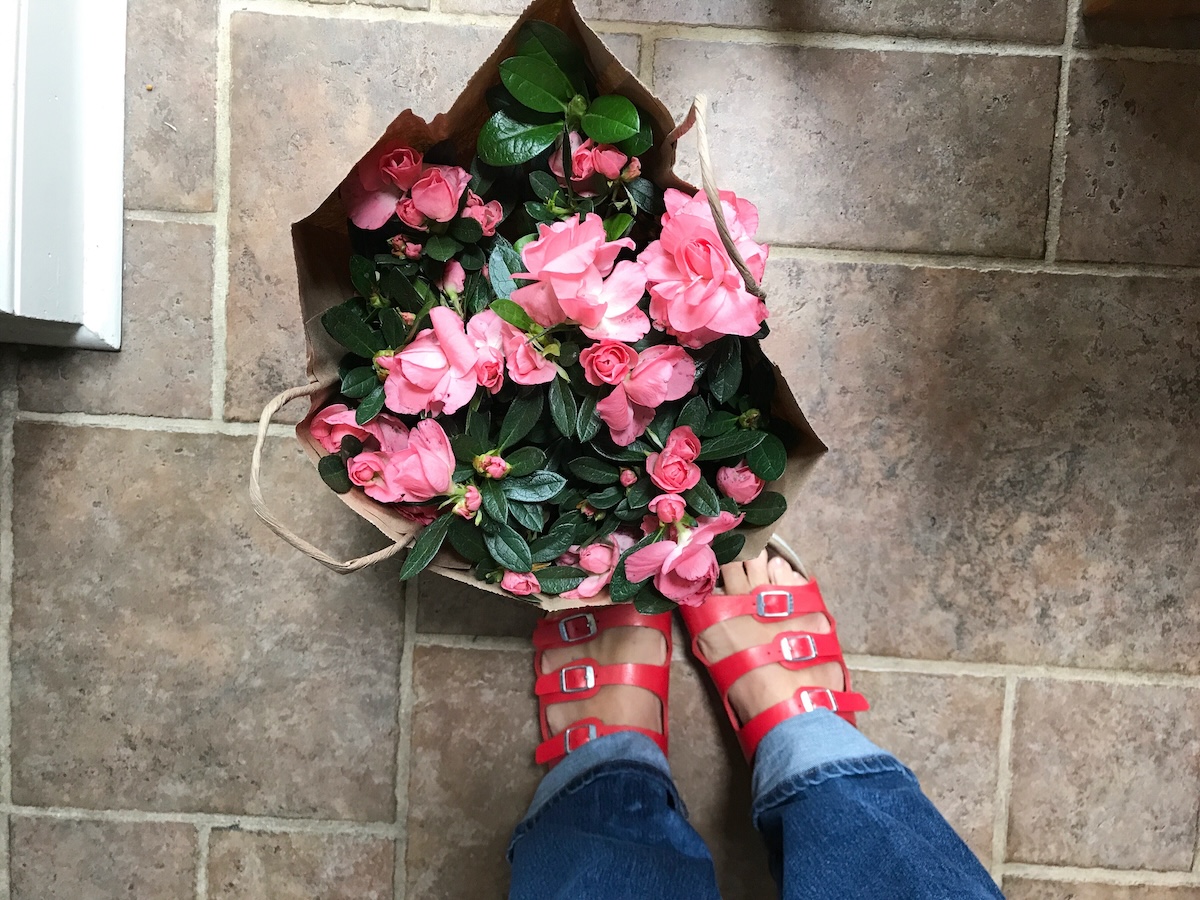 A woman with red sandals standing next to a paper bag of pink azalea clippings.
