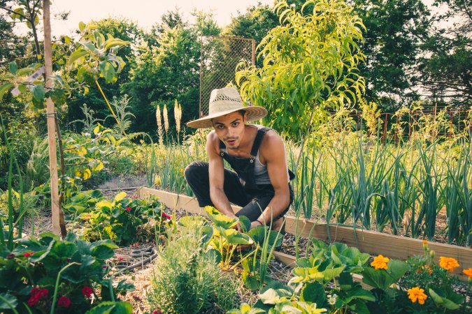 Brian Brigantti, a viral homesteader, in his garden.