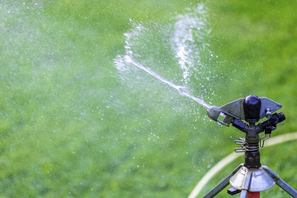 A lawn sprinkler watering the grass.