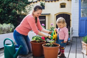 A mom and daughter potting up tomato plants to grow at home this summer.