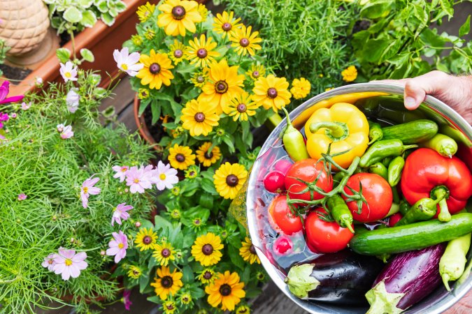 A basket of colorful vegetables sitting next to bright yellow flowers outside in a garden