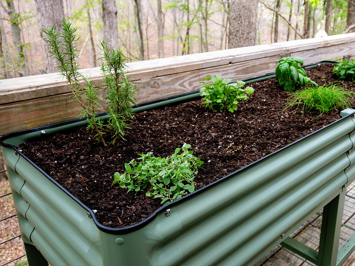 Vego Garden Bed Compact Review 2