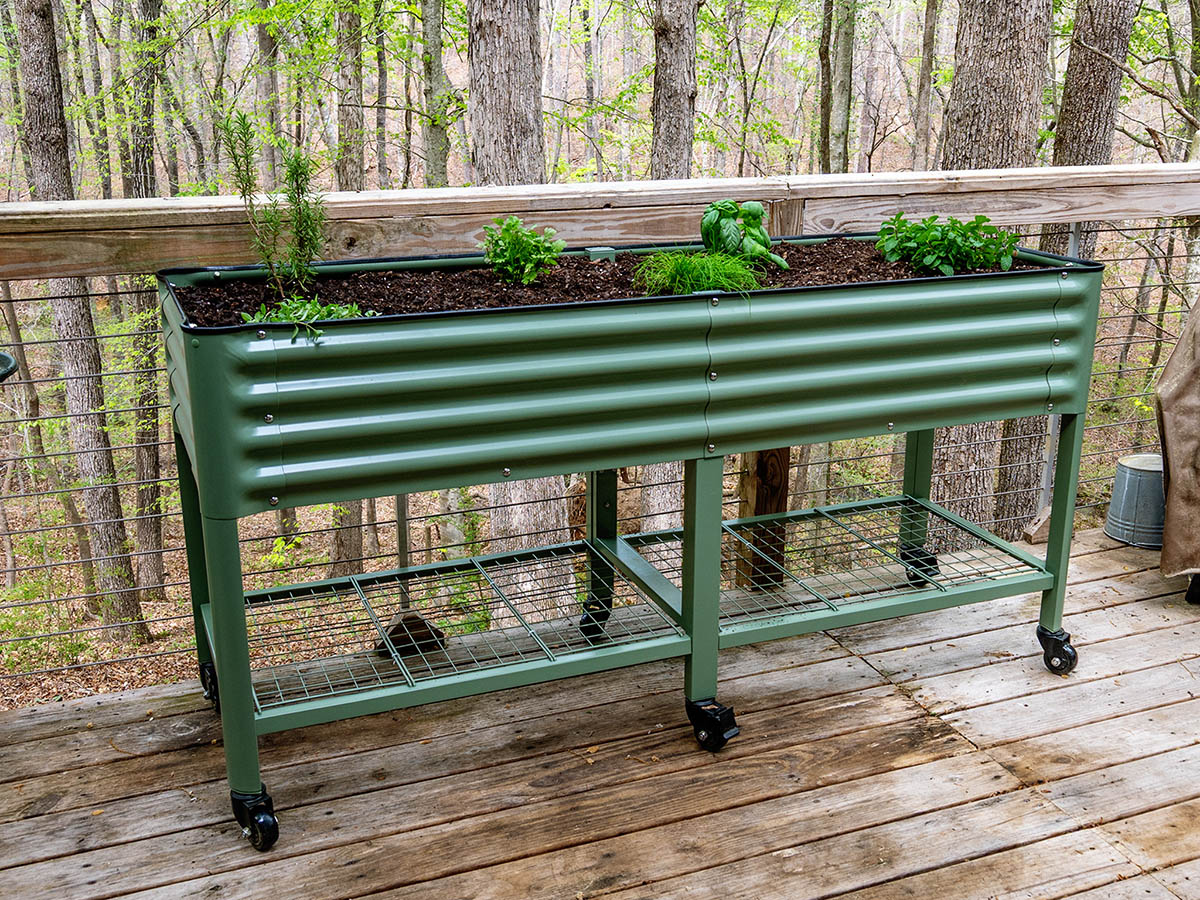 Vego Garden Bed Compact Review 3