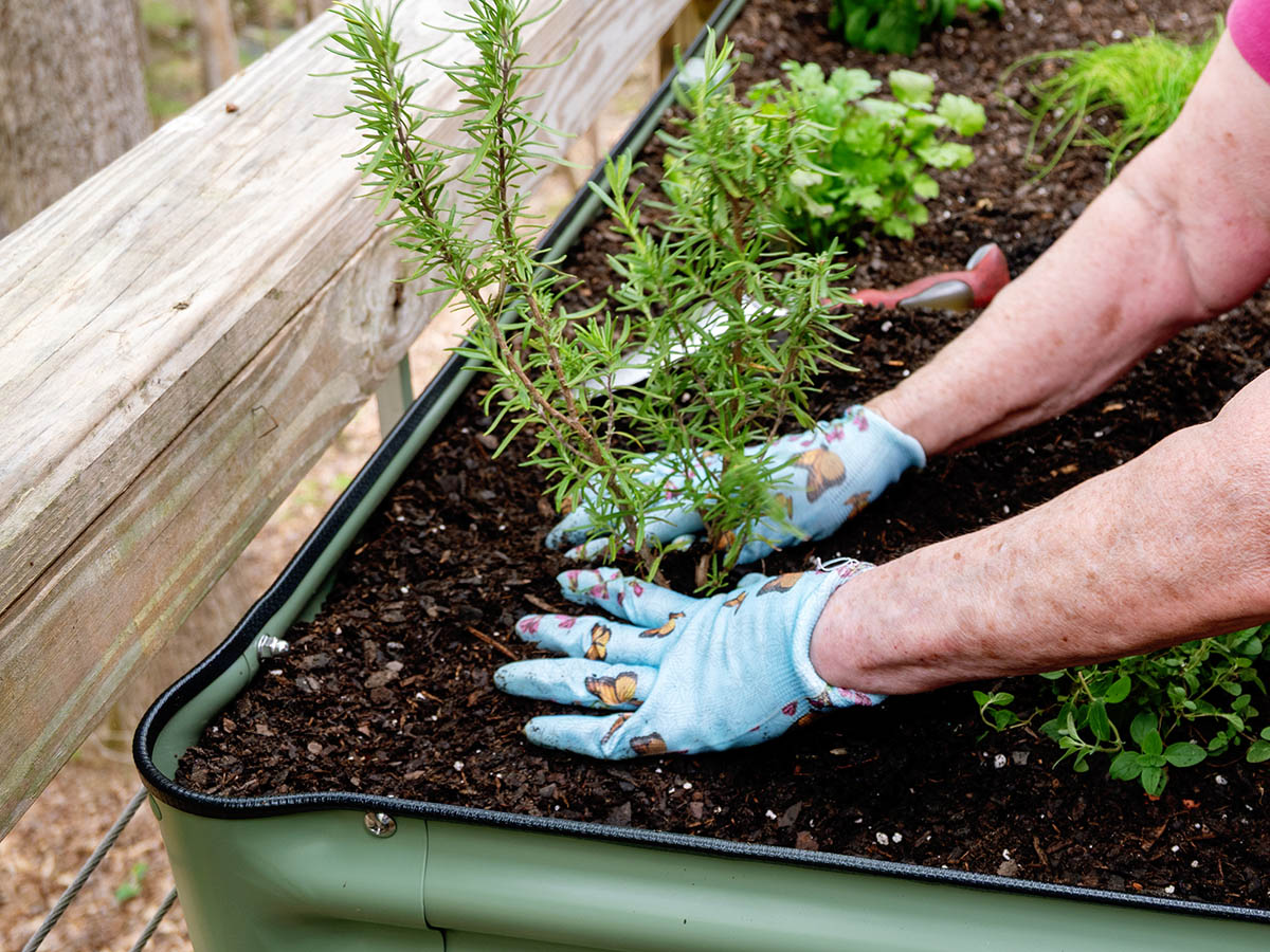 Vego Garden Bed Compact Review 4