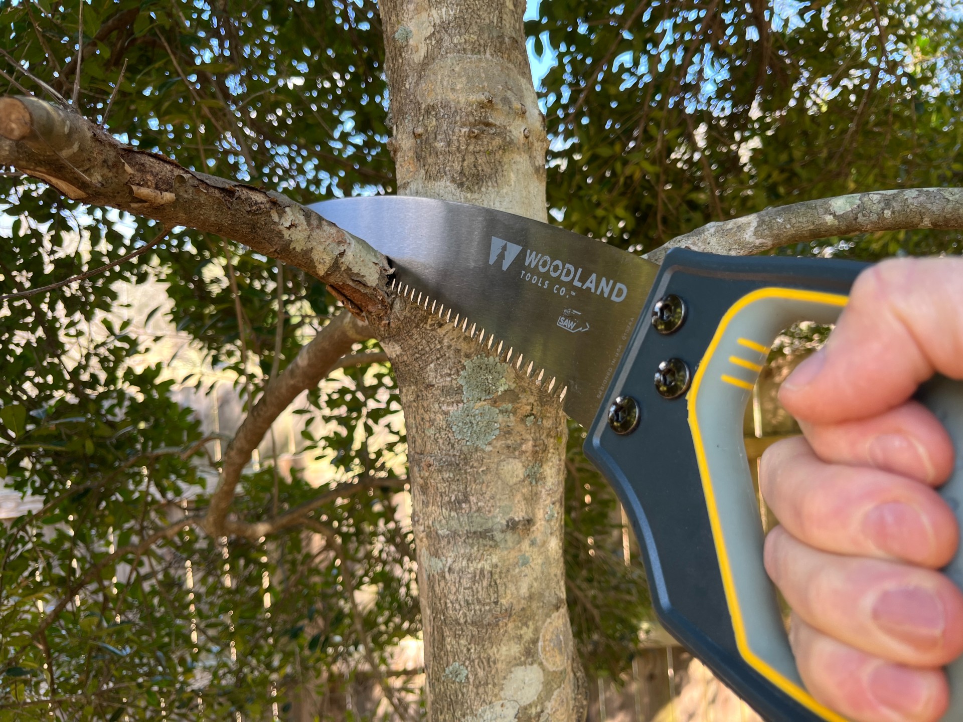 Woodland Tools D Handle saw action