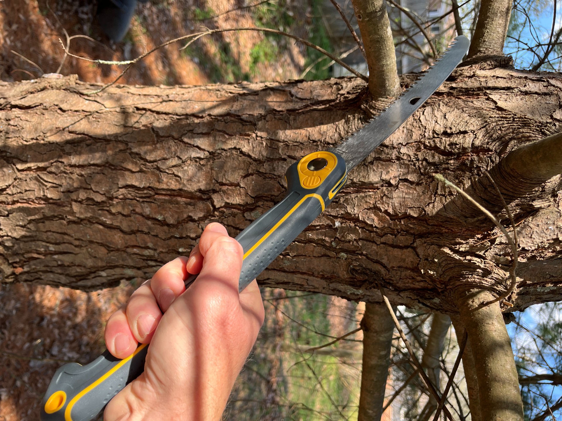 Woodland Tools folding saw action