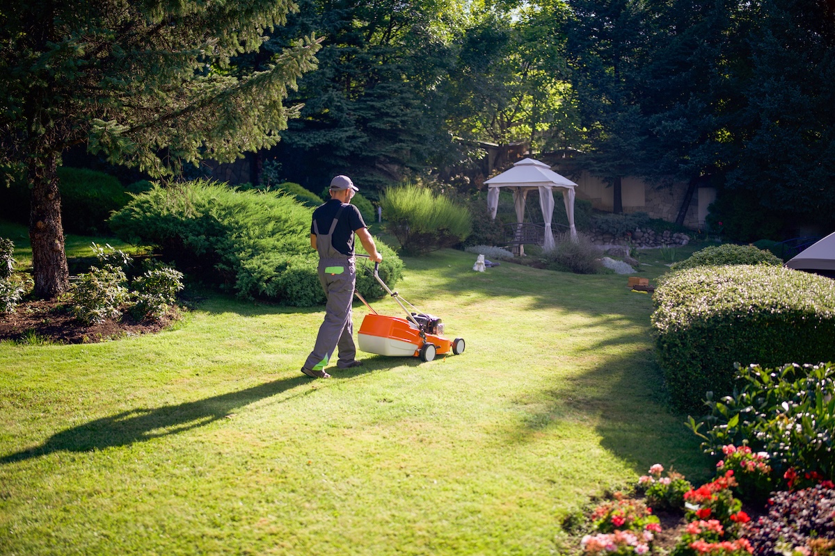 A professional landscaper mows a beautiful lawn.