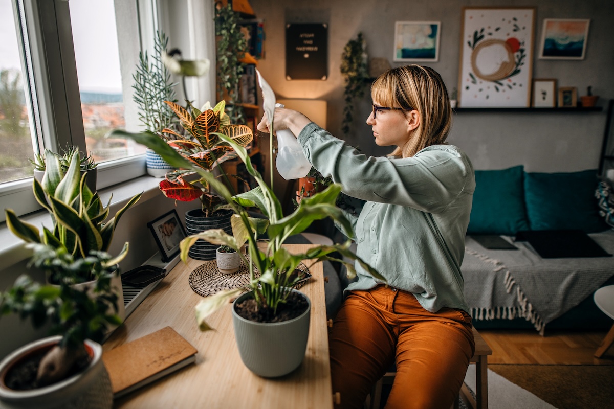 A woman works with potted plants in her living room.
