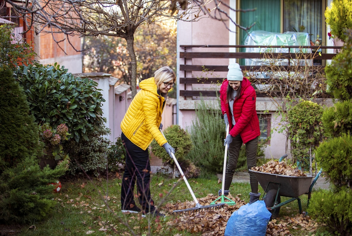 A mother and adult daughter rake dead leaves while wearing jackets.