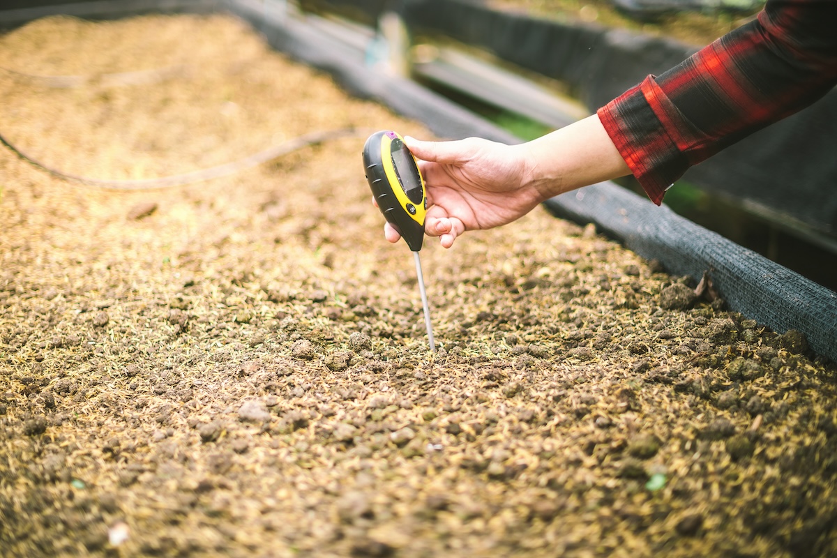 Using a Ph tester to determine the health of a lawn.