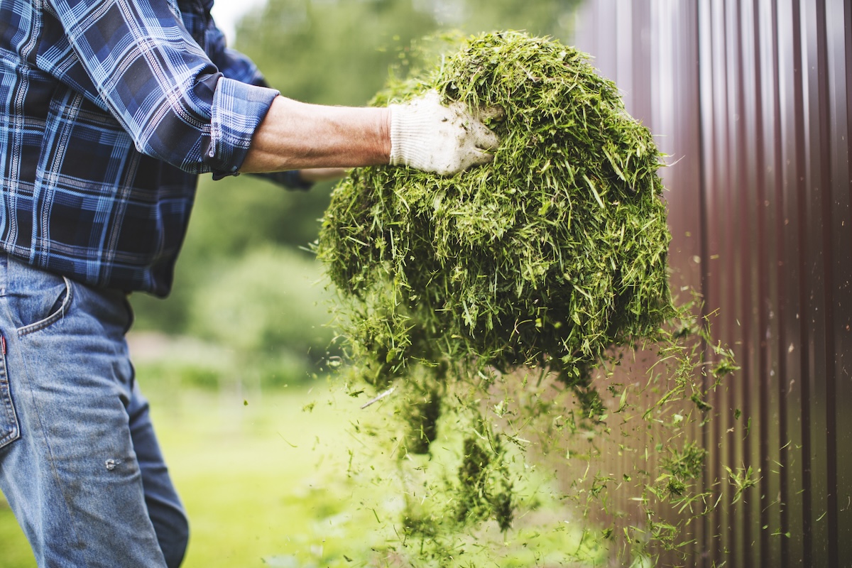 A man in a blue shirt moving grass clippings.