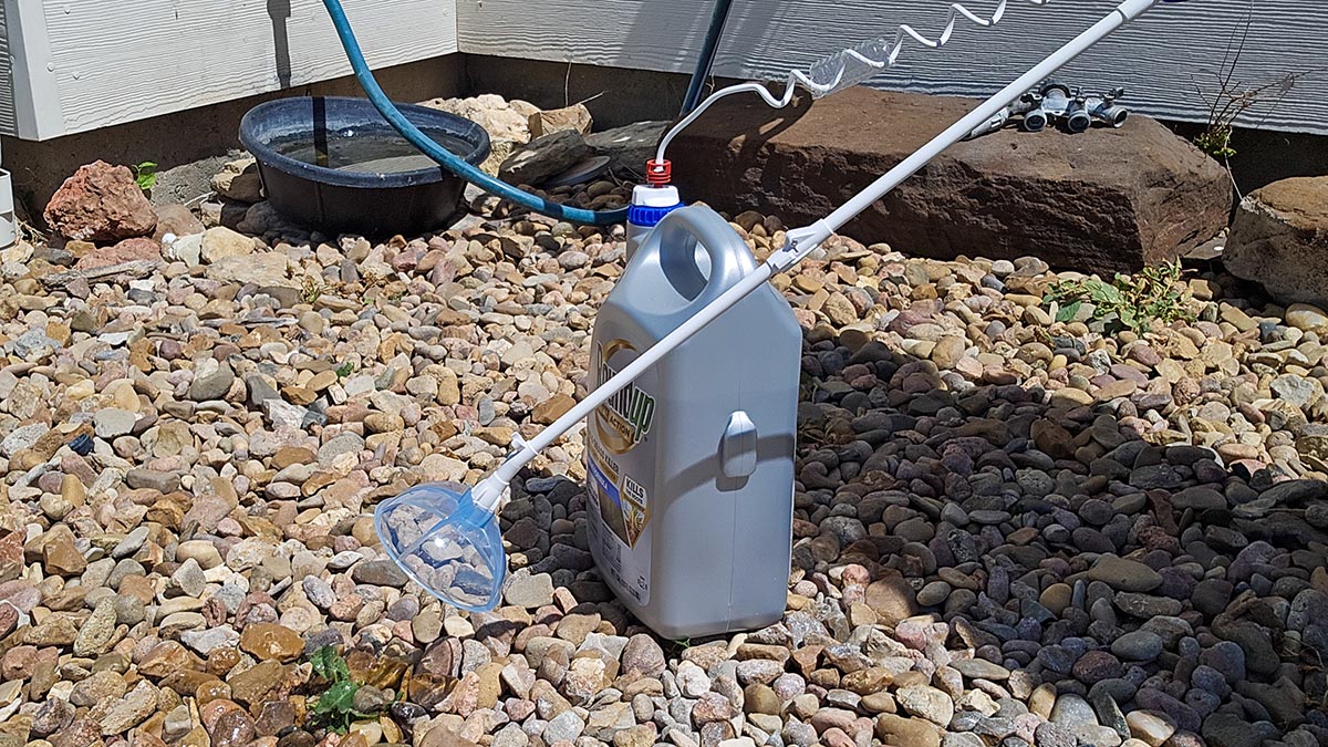 Ace Hardware YardRx Program Review Treating unwanted weeds with weed killer