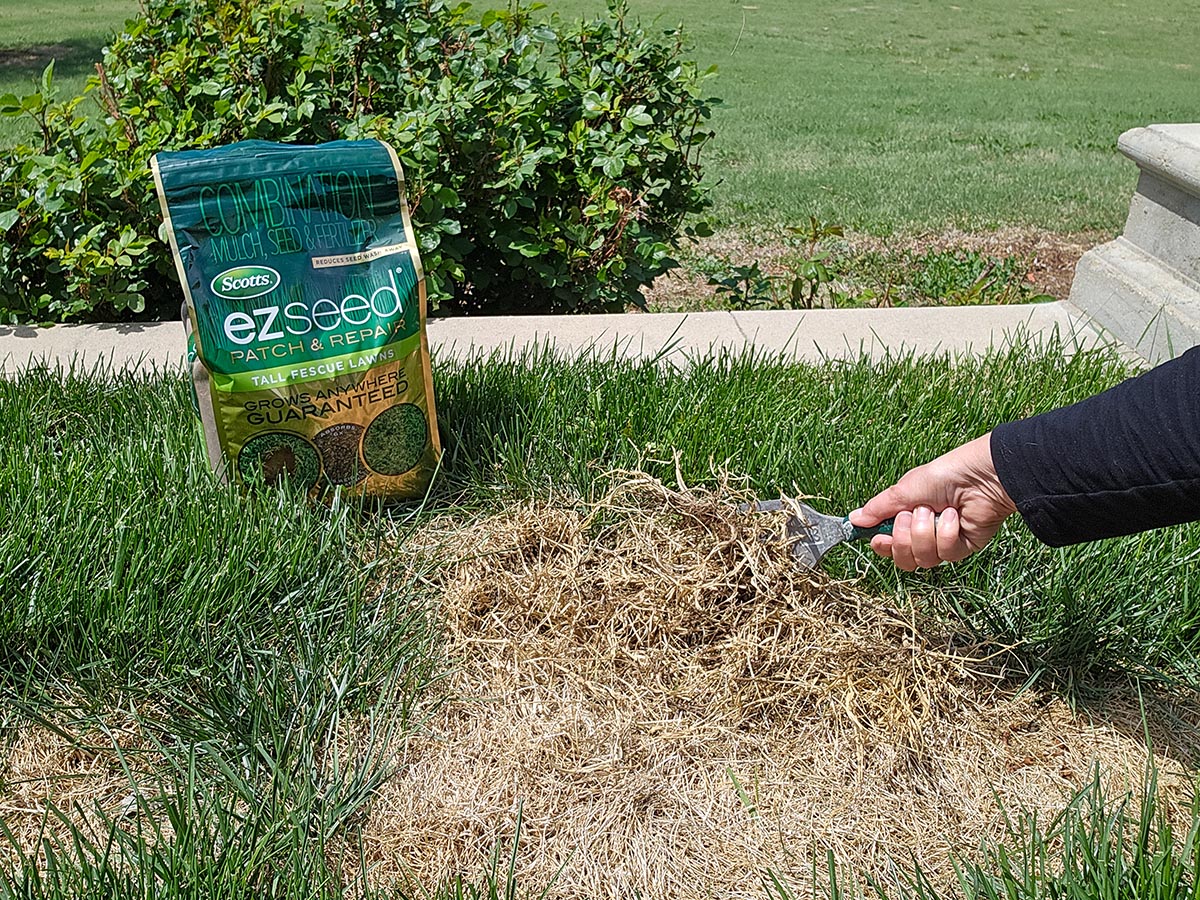 Ace Hardware YardRx Program Review Using patch repair product to fix bare patch in the lawn