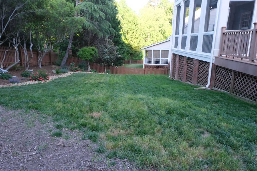 TruGreen Review Back Yard Photo