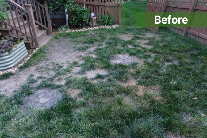 What My Lawn Looked Like Before TruGreen Serviced It