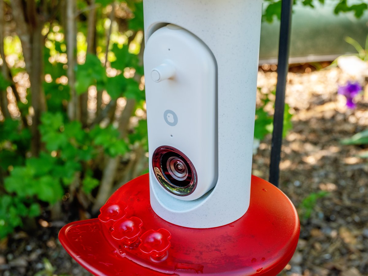 Bird Buddy Hummingbird Feeder Pro in use
