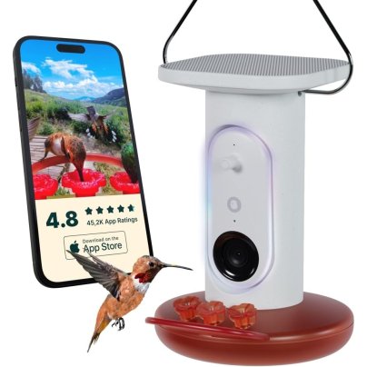 Bird Buddy Hummingbird Feeder