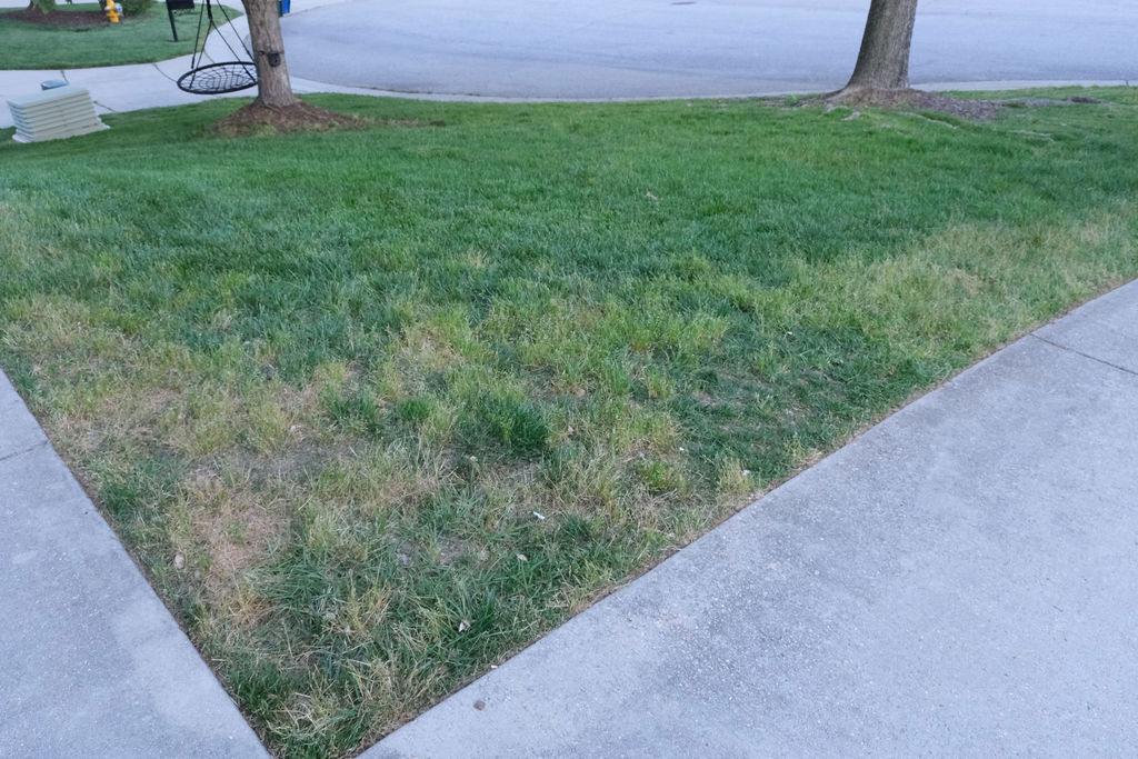 TruGreen Review Front Yard Photo