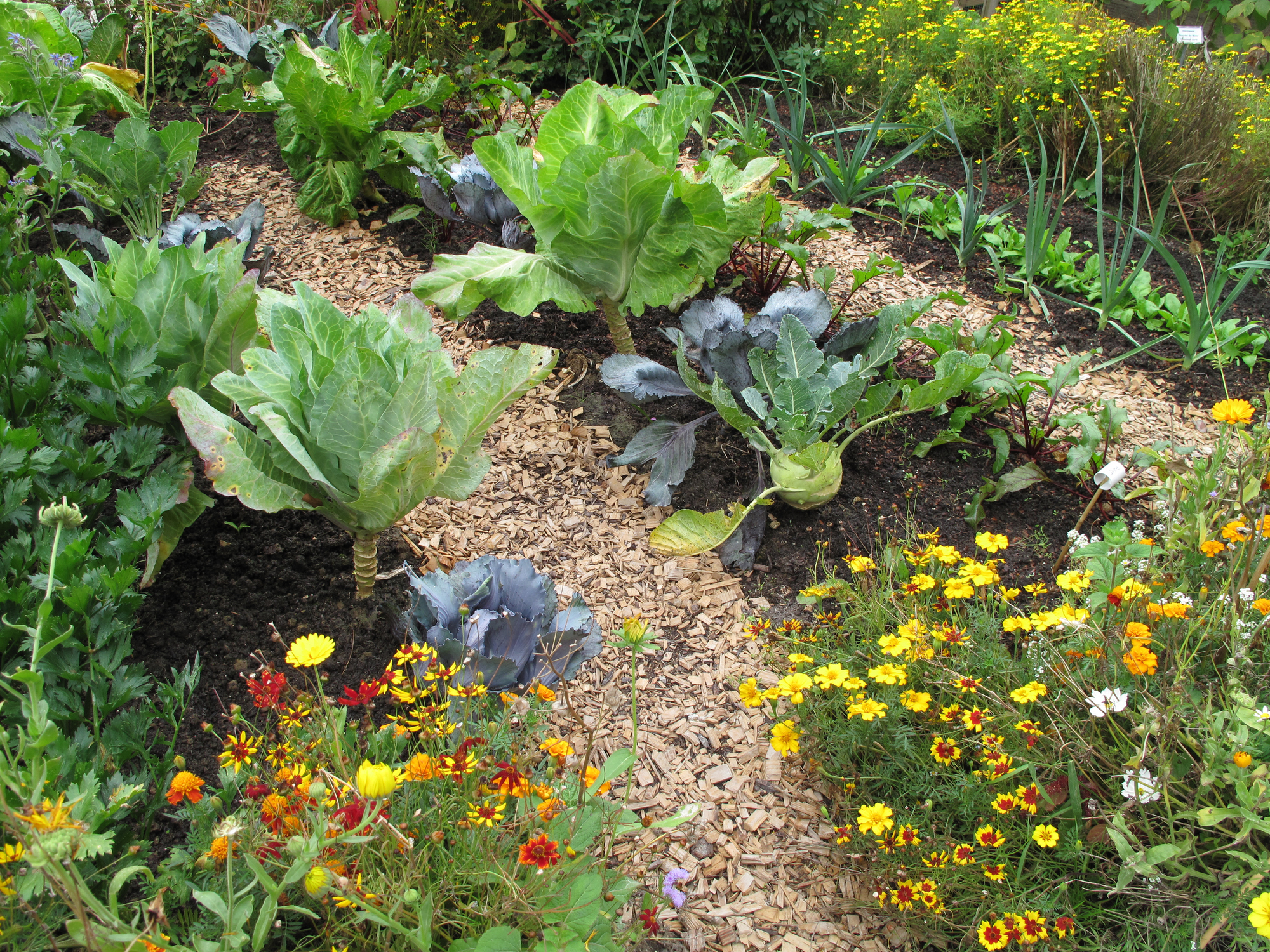 Garden with flowers and vegetables