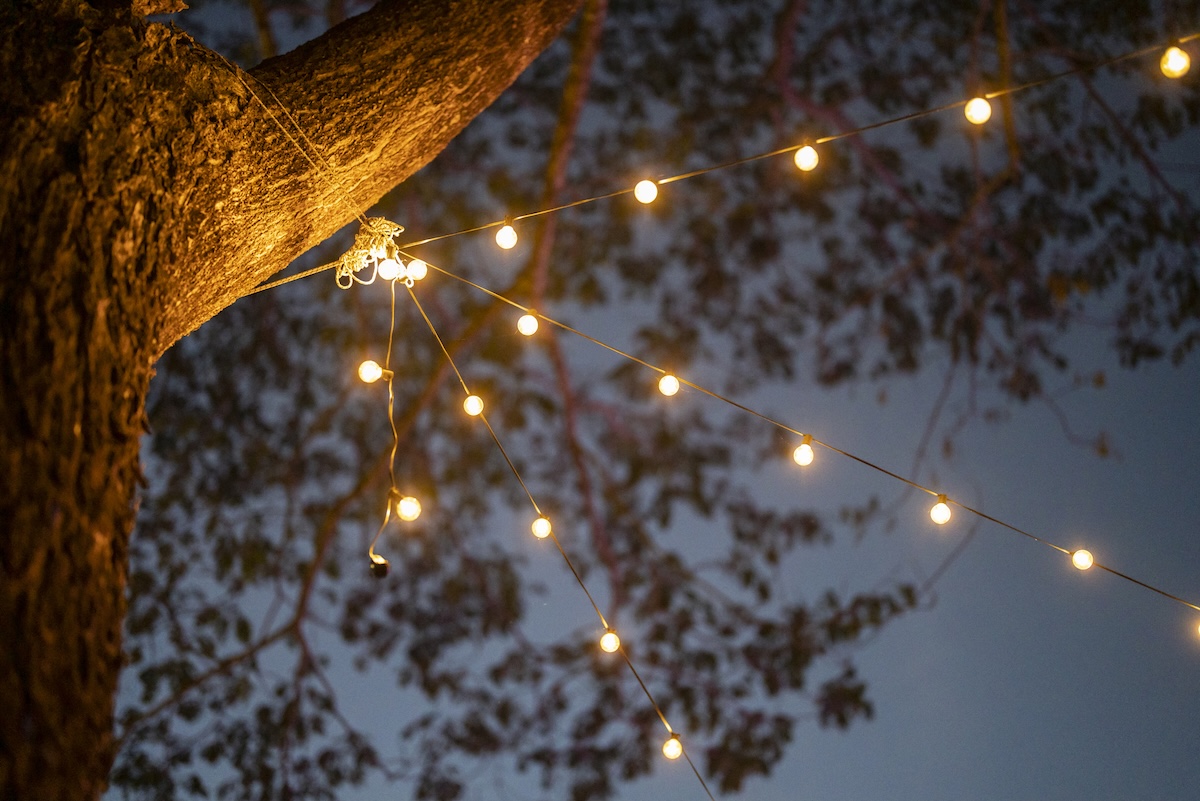 Improperly installed outdoor string lights tied to a large tree.