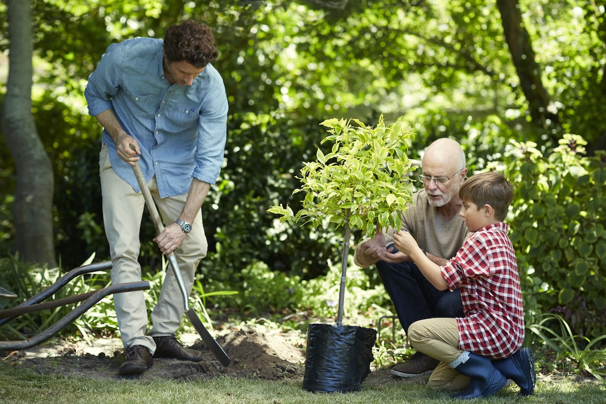 A family planting a tree using a spade to dig a deep hole.