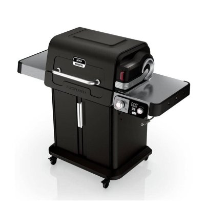 Ninja FlexFlame Grill