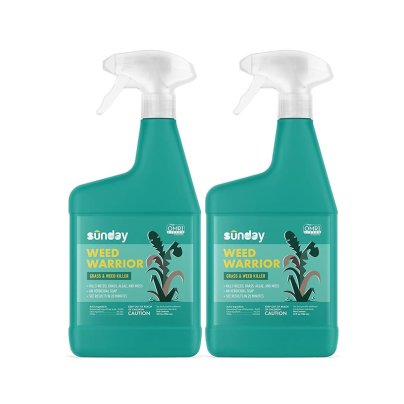 P&G Spruce vs Sunday Weed Warrior Sunday Weed Warrior