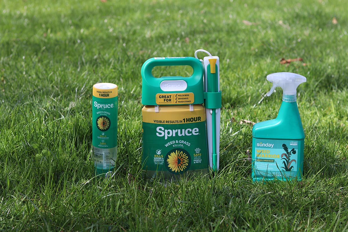 P&G Spruce vs Sunday Weed Warrior