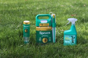 P&G Spruce vs Sunday Weed Warrior