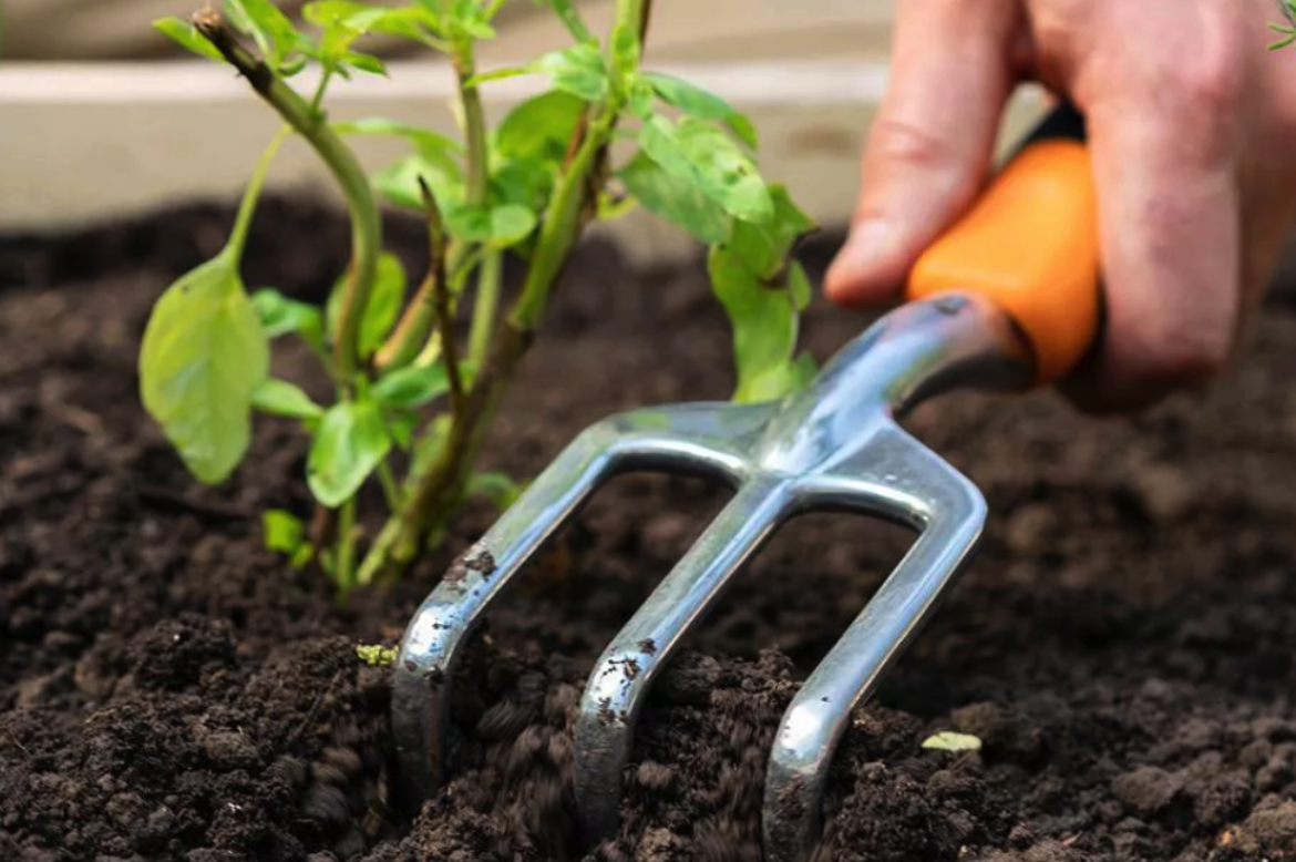 Fiskars ergo cultivator deal