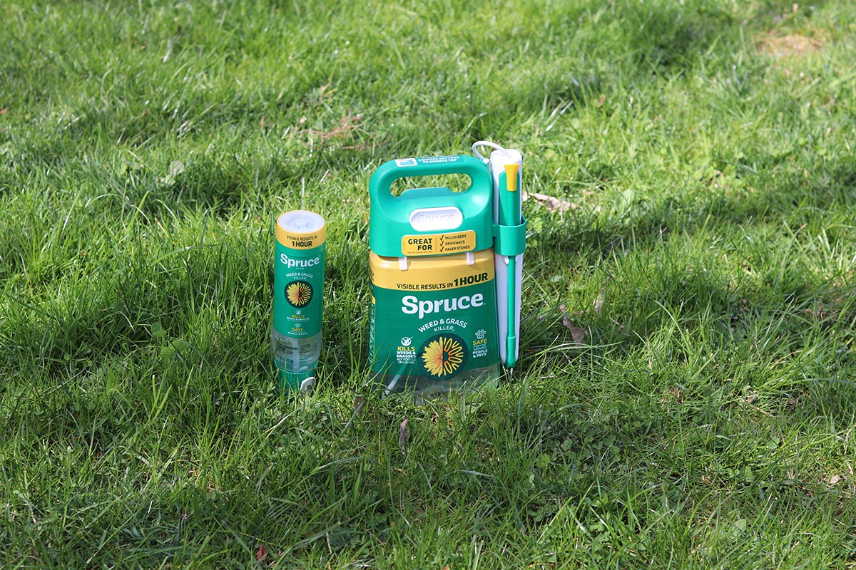 P&G Spruce vs Sunday Weed Warrior Spruce