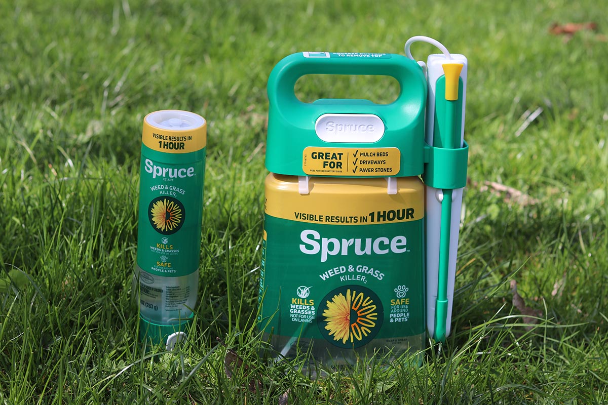 P&G Spruce vs Sunday Weed Warrior Spruce