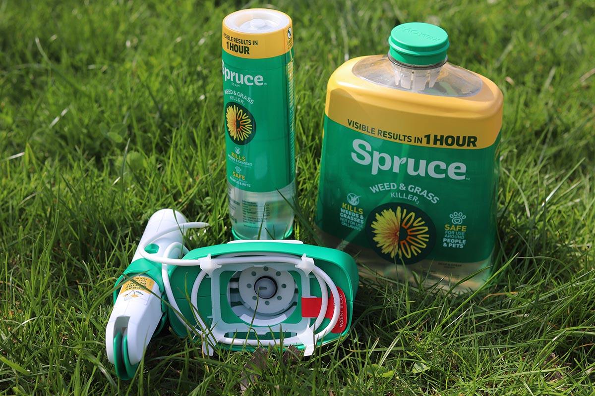 P&G Spruce vs Sunday Weed Warrior Spruce