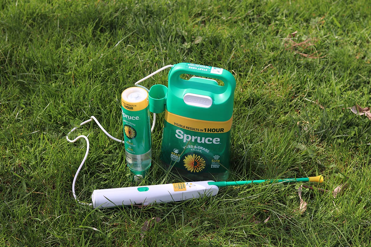 P&G Spruce vs Sunday Weed Warrior Spruce