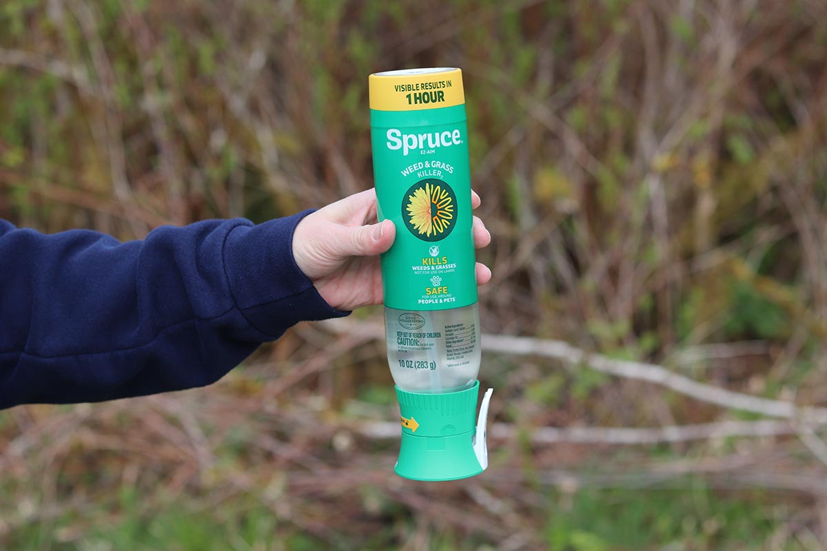 P&G Spruce vs Sunday Weed Warrior Spruce