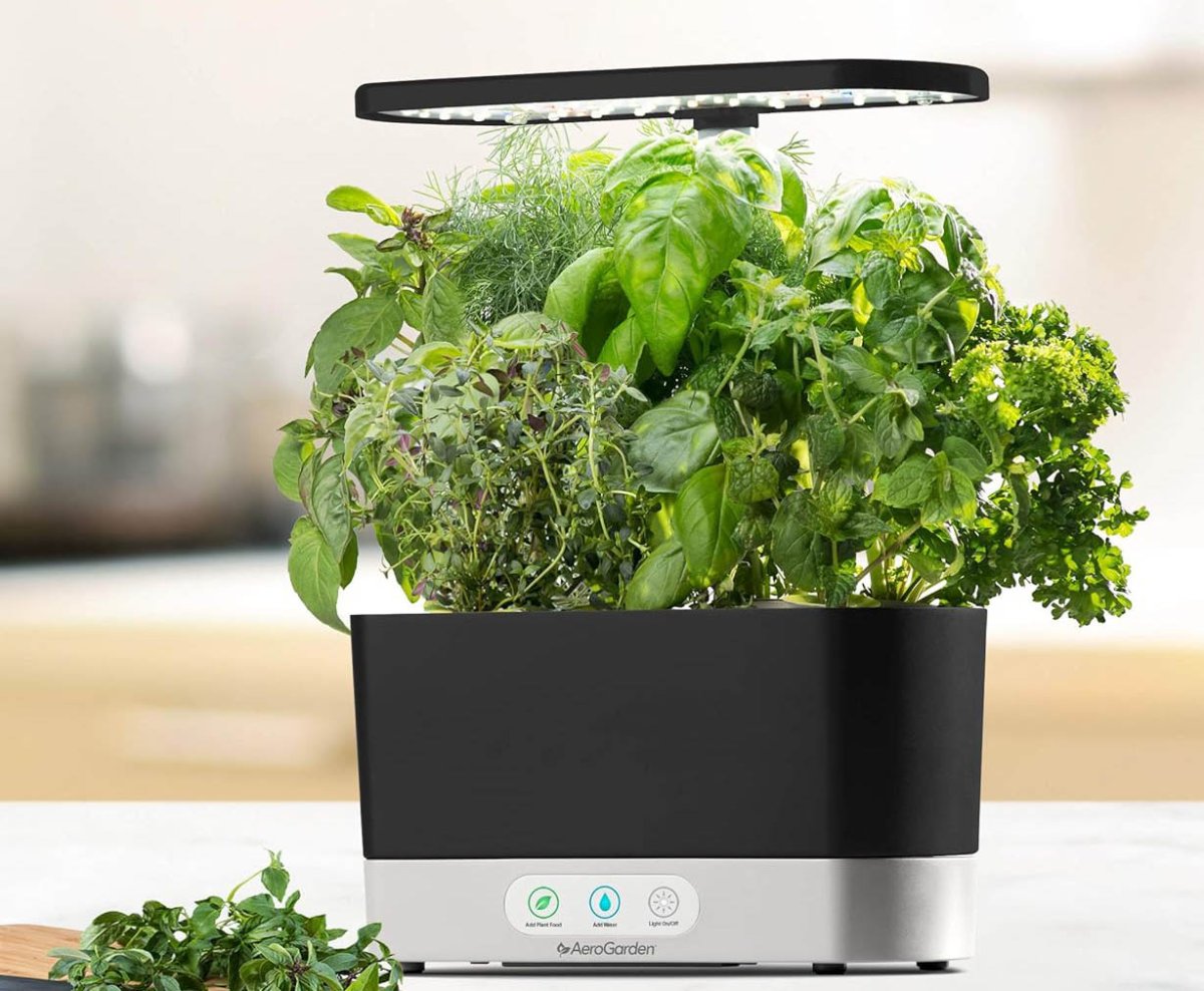 The Best Mother’s Day Gift AeroGarden Harvest Indoor Garden