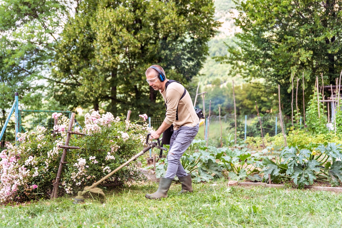 A man wearing proper PPE uses a lawn trimmer in a garden plot.