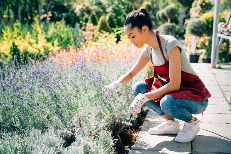 Woman taking care of plants and herbs in her garden.