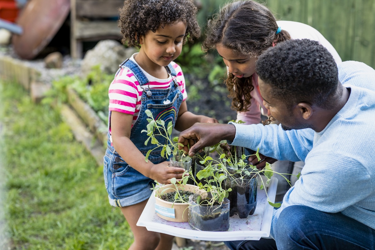 A family planting herbs in a backyard garden.