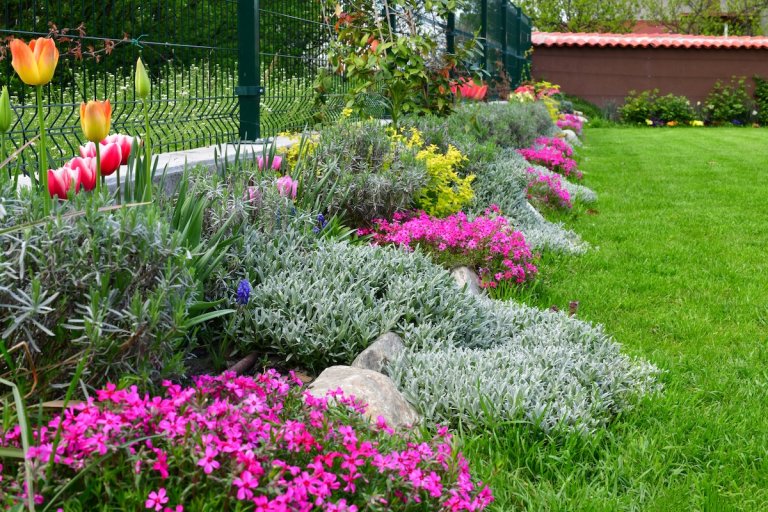Colorful flowering ground covers planted along a backyard fence.