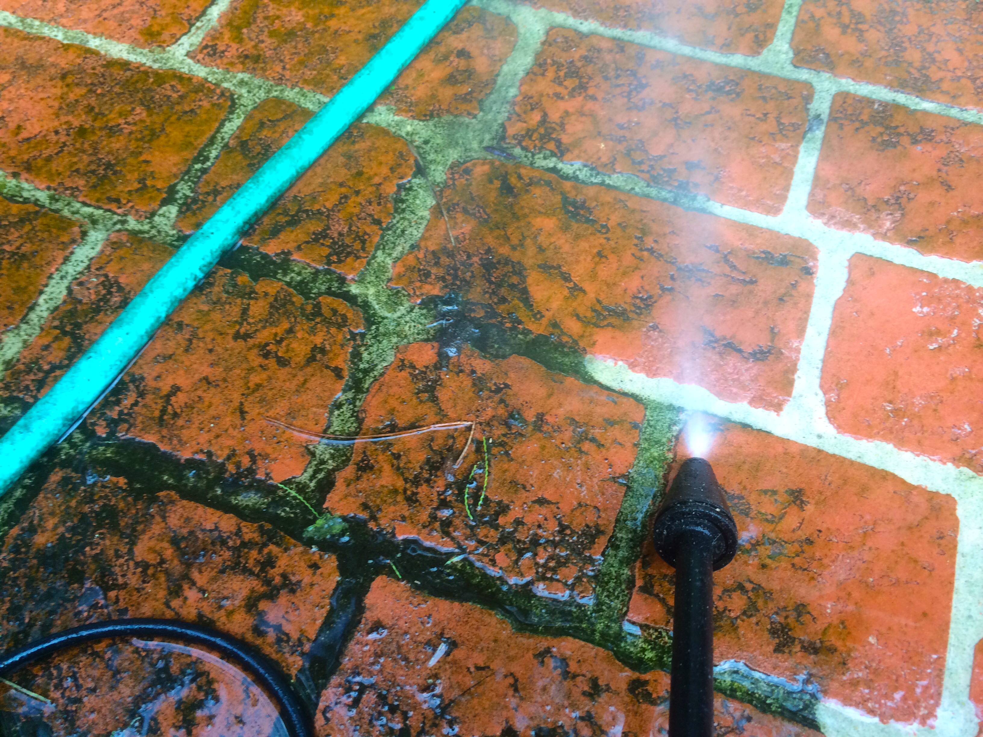 Power washing a brick paver patio that has green moss and mold.