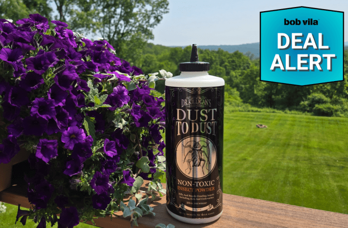Dr Killigans Pest control deal